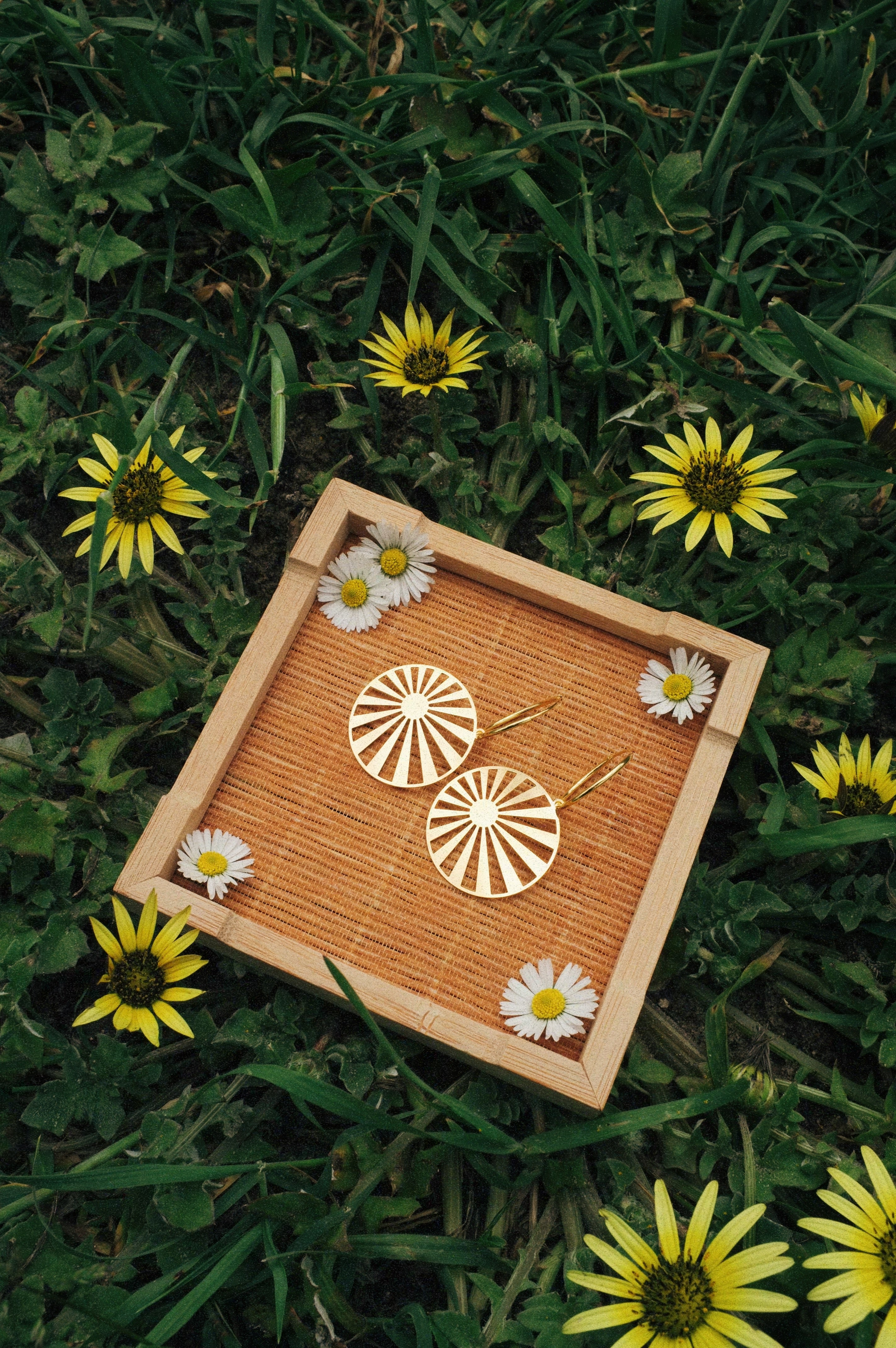 Lokatis Sunset Plateado o Dorado