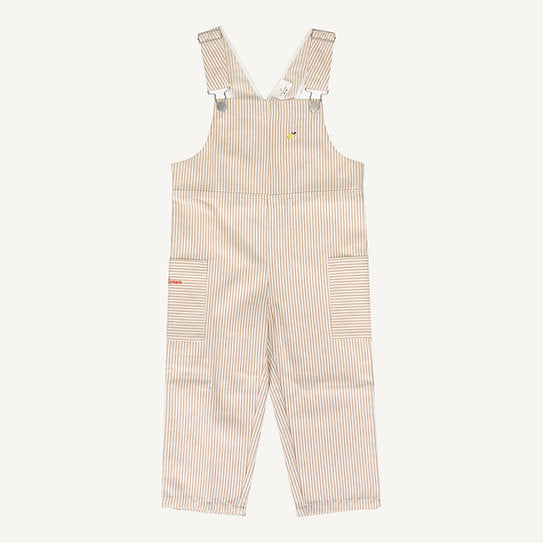 Peto • marrón raya • wonders of the deep sea •